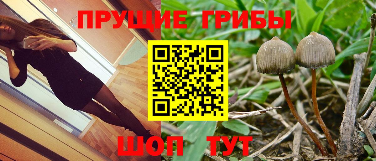 Псилоцибиновые грибы мицелий Мирный