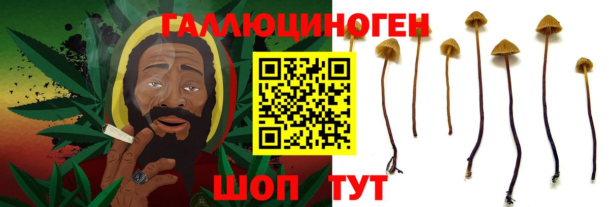 продажа наркотиков  Псилоцибиновые грибы Psilocybe  Вход с VPN  Псилоцибиновые грибы прущие грибы  Мирный 